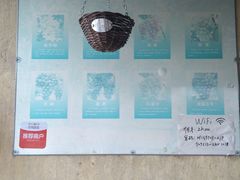 -马陆小张葡萄园农家乐