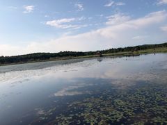 -塞罕坝国家级自然保护区