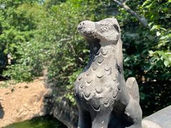 -老张烤羊(王哥庄店)
