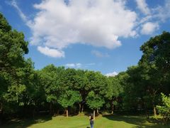 -上海浦东嘉里大酒店