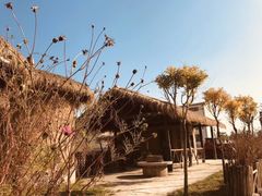-五龙城郊森林公园