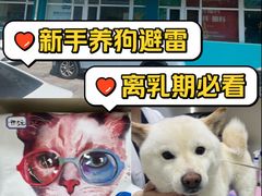 -美联众合动物医院·24h京西诊疗中心