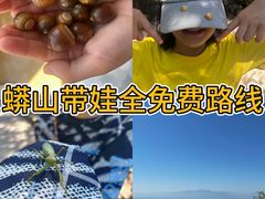-北京十三陵国家森林公园蟒山景区