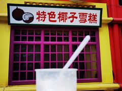 -洪馨椰子