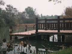 -白鹭湾湿地公园