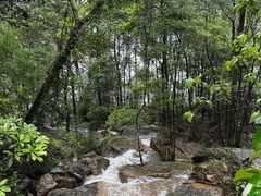-广州市石门国家森林公园