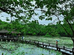 -兰亭风景区