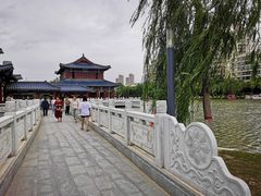 -雁滩公园