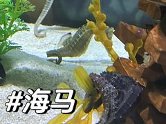 -重庆欢乐海底世界