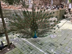 -开元溶洞