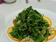 -凯鸽酒楼•雁北民间菜(华北星店)