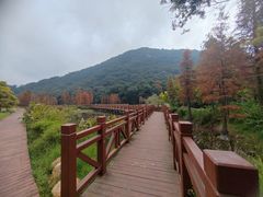 -广州市石门国家森林公园