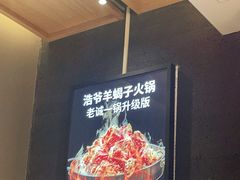 -浩爷羊蝎子火锅(望京店)