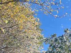 -八大山人梅湖景区