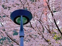 -梦田音乐LiveHouse(上海虹口店)