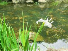 -西山风景区