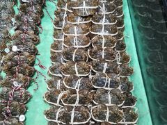 -盒马鲜生(杭州运河上街店)
