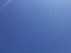 -丁香湖公园