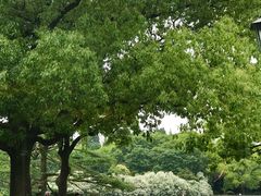 -御花园·粤菜·海鲜火锅(中山公园店)