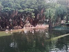 -九龙公园