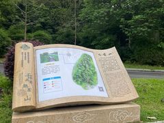 -广州市白云山风景名胜区