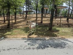 -秦皇岛野生动物园