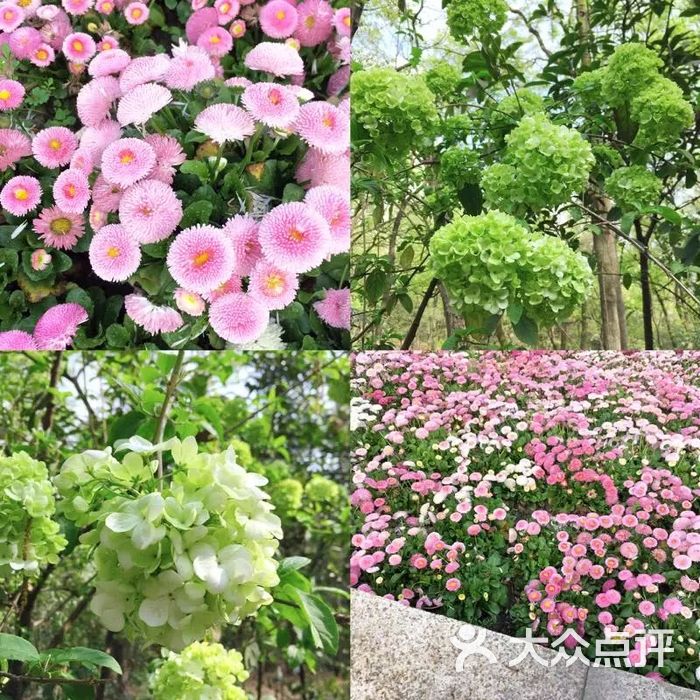 成都植物園