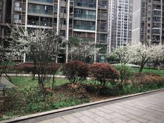 -奈雪的茶(亨特国际广场店)