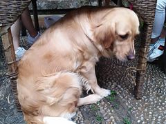 -浔岚云舍mist静谧观景美宿(丽江古城店)