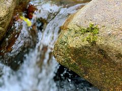 -云岫谷游猎自然风景区