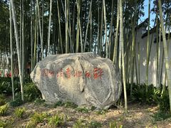 -上海醉白池公园