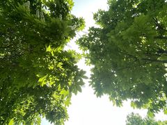 -西安世博园