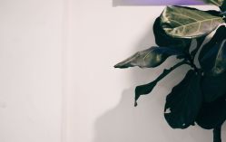 -AFA Hair studio·女士发型设计