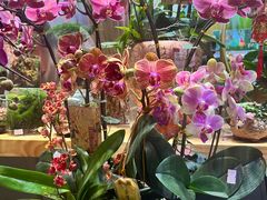 -扶光书店(中环店)