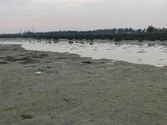 -北海金海湾红树林生态旅游区