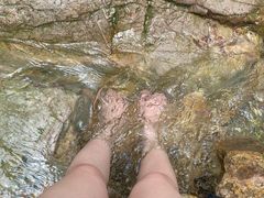 -南海湾森林生态园