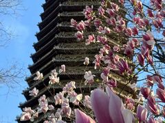 -玲珑塔公园