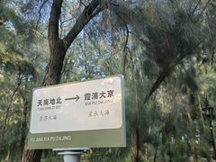 -大京沙滩
