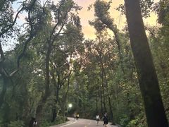 -万达影城(中茂城IMAX店)
