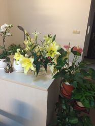 -尚美日式美甲美睫工作室