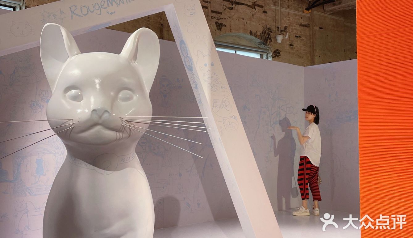 🌟魔都打卡 ｜我们一起化身猫星人🐱