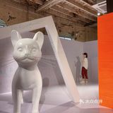 🌟魔都打卡 ｜我们一起化身猫星人🐱