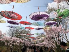 -武汉紫薇都市田园