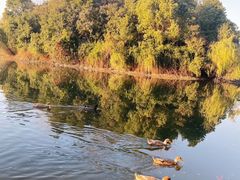 -东华大学(松江校区)