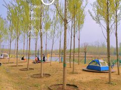 -东郊湿地公园
