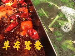 -盡膳口福跷脚牛肉火锅(合生汇购物中心店)