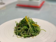 -首钢一九一九大酒楼(石景山店)