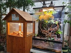 -上海大自然野生昆虫馆(东方明珠·爬宠昆虫探索中心)