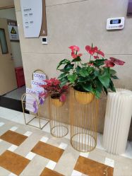 -南京康美美容医院·旗舰店
