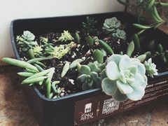 -盒悦高端盒饭(中海国际中心店)